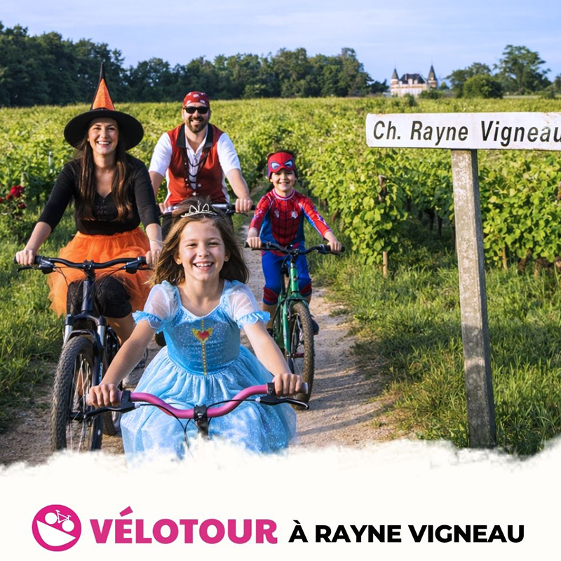 Vélotour: une balade insolite au cœur des vignes !